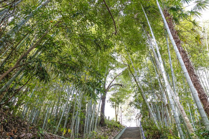 遊歩道の写真(森林浴100選)