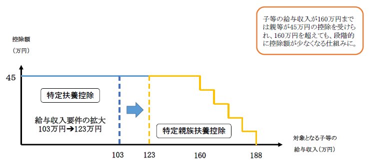特定親族扶養控除.png