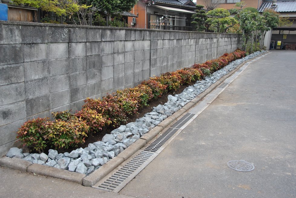 町職員で役場北側花壇にオタフクナンテン お多福南天 を植えました 福岡県築上郡 吉富町行政サイト