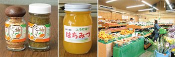 築東地区ふれあい市(JA福岡京築).jpg