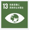 SDGs13.png