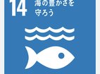 SDGs14.png