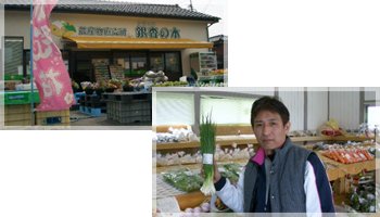 銀杏の木(農産物直売所).jpg