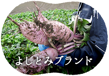 よしとみブランド 海の幸 大地の恵み